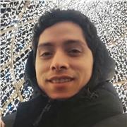 Matemáticas, inglés, ciencias naturales, lenguaje, etc